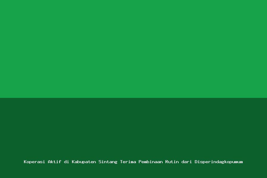 Koperasi Aktif di Kabupaten Sintang Terima Pembinaan Rutin dari Disperindagkopumum